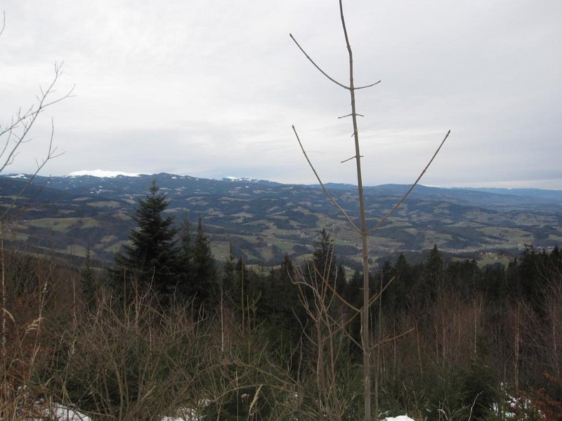 K1024_IMG_6123.JPG