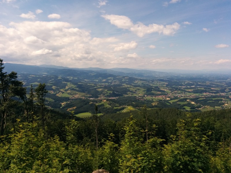 IMG_20150625_152152.jpg